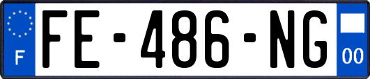 FE-486-NG