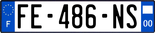 FE-486-NS