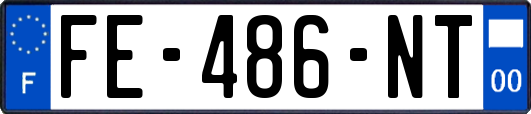 FE-486-NT