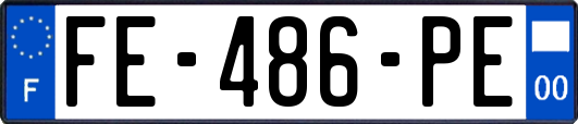 FE-486-PE