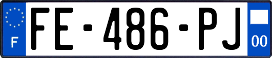 FE-486-PJ