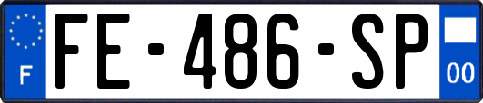 FE-486-SP