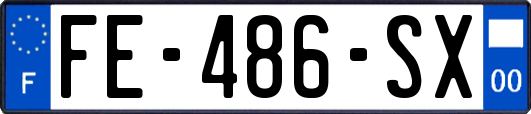 FE-486-SX