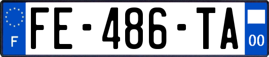 FE-486-TA