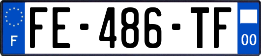 FE-486-TF