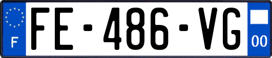 FE-486-VG