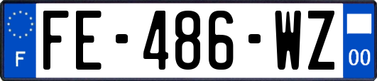 FE-486-WZ