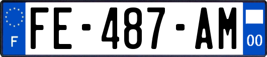 FE-487-AM