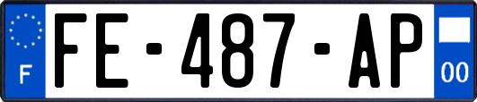 FE-487-AP