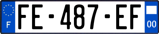 FE-487-EF