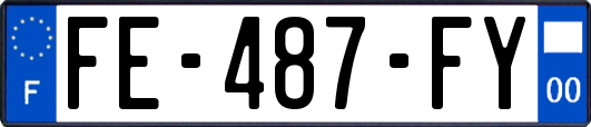 FE-487-FY