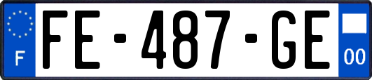 FE-487-GE