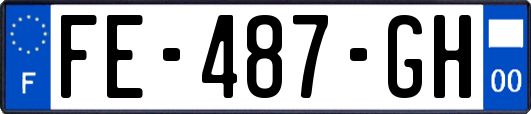 FE-487-GH