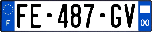 FE-487-GV