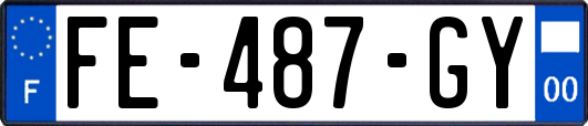FE-487-GY
