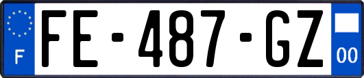 FE-487-GZ