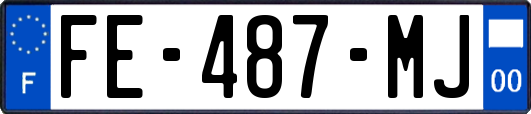 FE-487-MJ