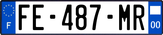 FE-487-MR