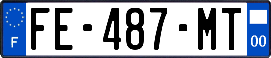FE-487-MT