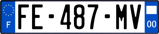 FE-487-MV