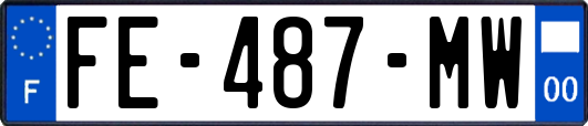 FE-487-MW