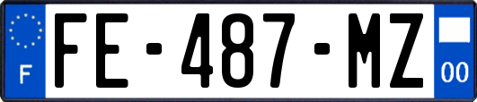 FE-487-MZ