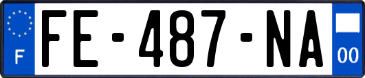 FE-487-NA