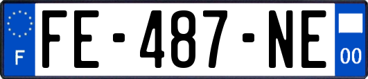 FE-487-NE