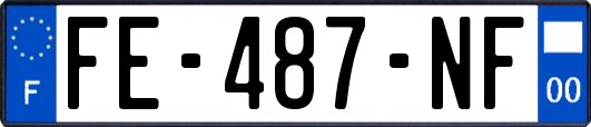 FE-487-NF