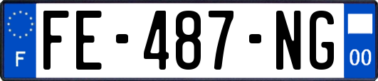 FE-487-NG