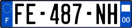 FE-487-NH