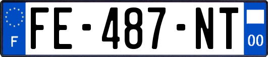 FE-487-NT