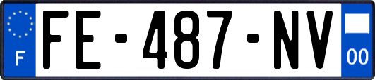 FE-487-NV