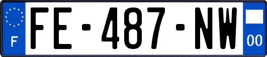 FE-487-NW