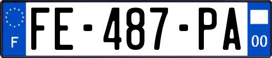 FE-487-PA