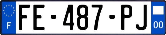 FE-487-PJ