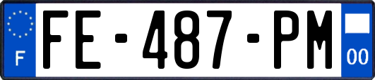 FE-487-PM
