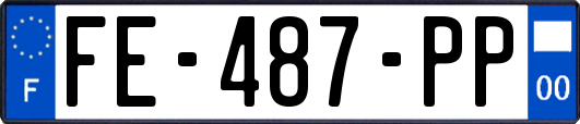 FE-487-PP