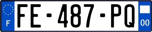 FE-487-PQ