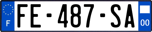 FE-487-SA
