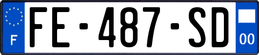 FE-487-SD