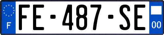 FE-487-SE
