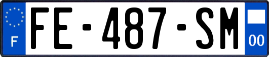 FE-487-SM