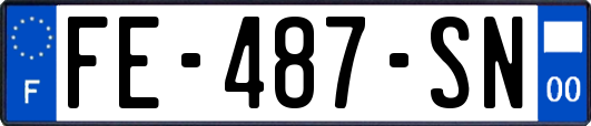FE-487-SN