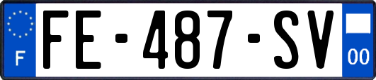FE-487-SV
