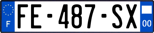 FE-487-SX
