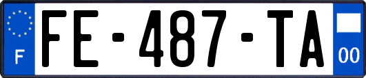 FE-487-TA