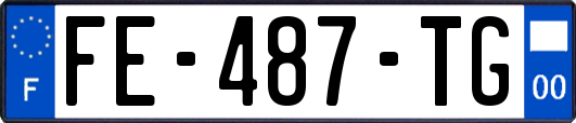 FE-487-TG