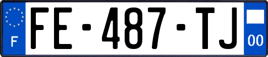 FE-487-TJ