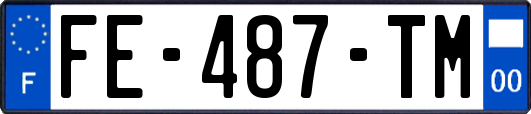 FE-487-TM